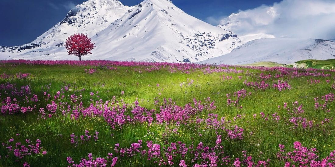 Rendez mémorable votre escapade romantique dans les montagnes